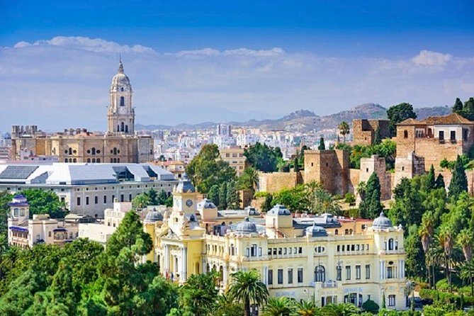 Málaga Picasso Museum Private Guided Tour - Additional Tips for Visitors