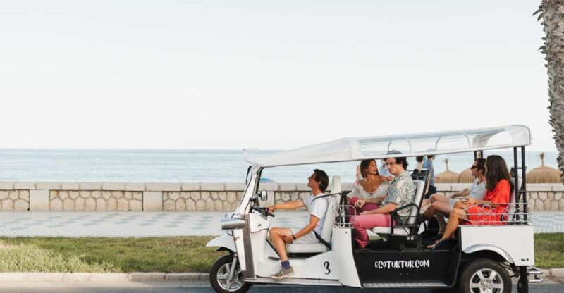 Malaga: Private City Tour by Eco Tuk Tuk - Iconic Landmarks