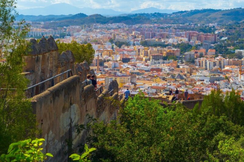 Malaga: Private Exclusive History Tour With a Local Expert - Influence of Nasrid Dynasty