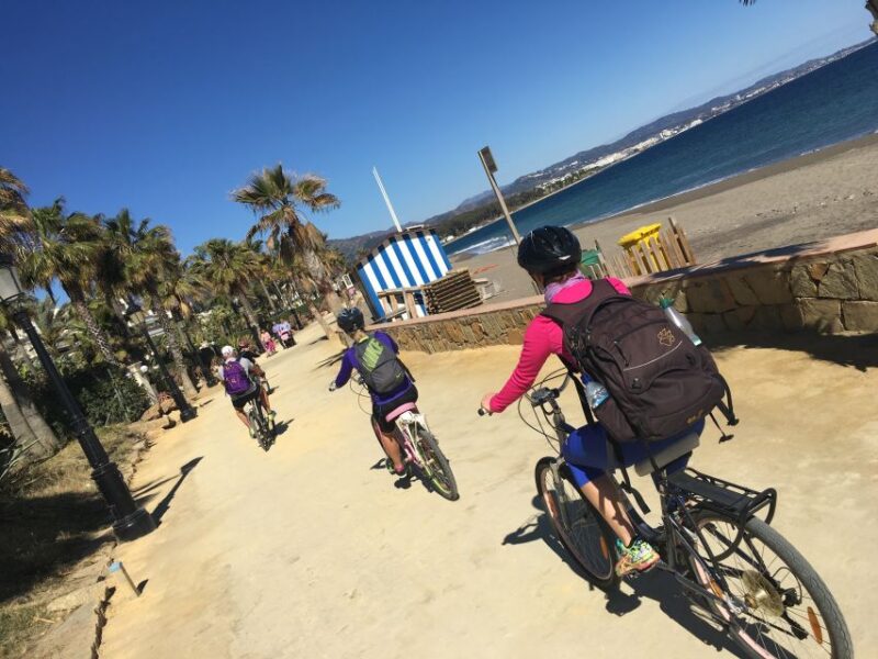 Malaga: Private Guided Bike Tour - Highlights