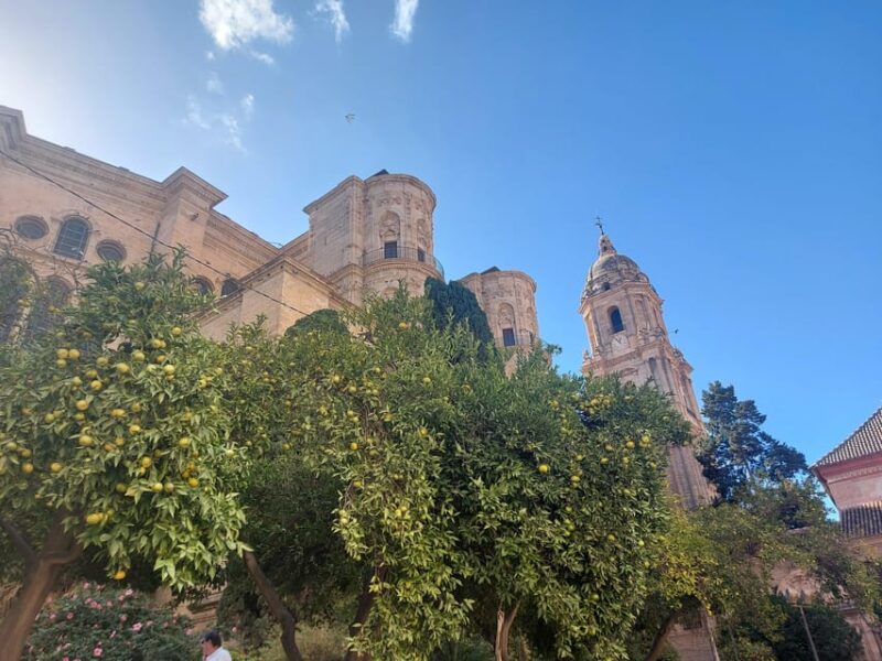 Málaga: Private Guided Walking Tour in the Historic Center - Inclusions and Exclusions