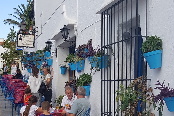 Malaga Private Shore Excursion: Malaga Highlights & Mijas White Washed Village - Pickup and Accessibility