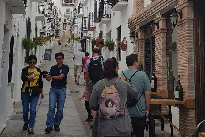 Malaga Private Shore Excursion: Malaga Highlights & Mijas White Washed Village - Guide Professionalism and Feedback