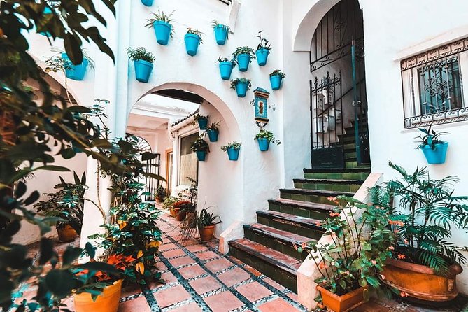 Malaga Private Shore Excursion to Marbella and Puerto Banus - Discover the Glamour of Puerto Banus