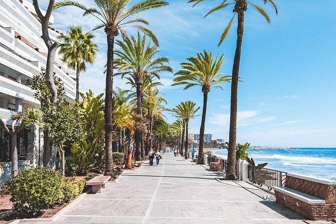 Malaga Private Shore Excursion to Marbella and Puerto Banus - Itinerary and Transportation Details