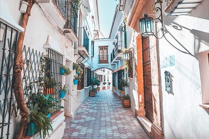 Malaga Private Shore Excursion to Marbella and Puerto Banus - Why Choose This Private Excursion