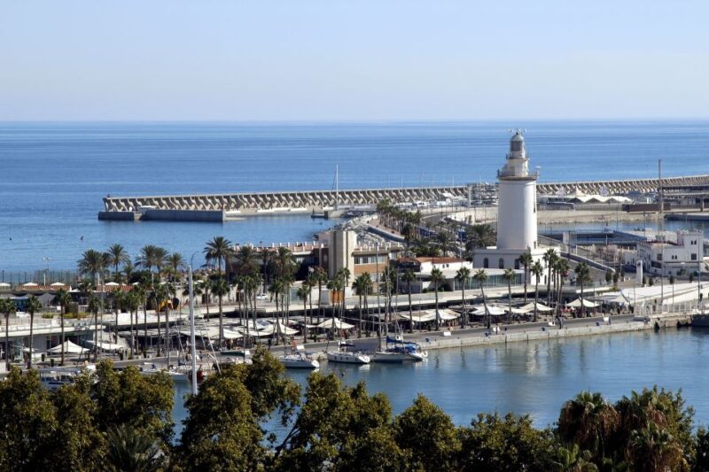 Malaga: Private Spanish Lesson for Any Level - Key Points