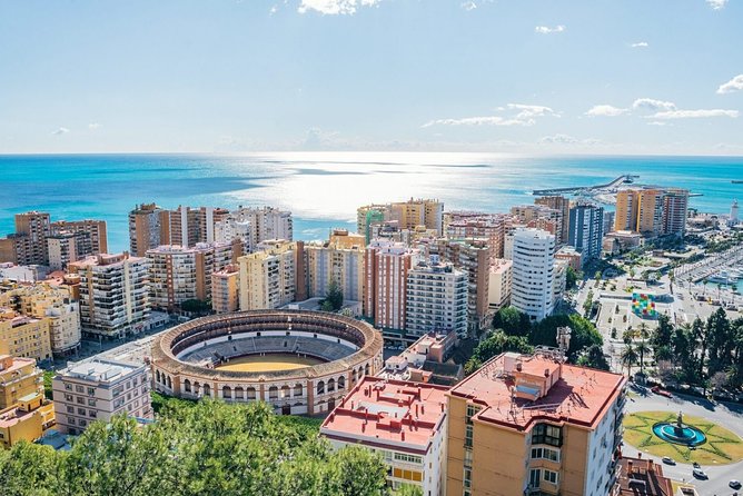 Malaga Private Tours and Excursions From Seville for up to 8 Persons - Additional Services Available