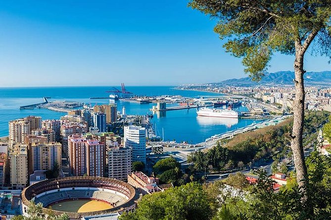 Malaga Private Tours and Excursions From Seville for up to 8 Persons - Safety and Regulations
