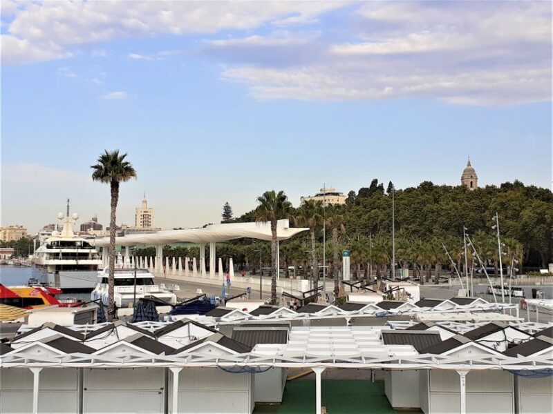 Malaga: Private Walking Tour - Key Points