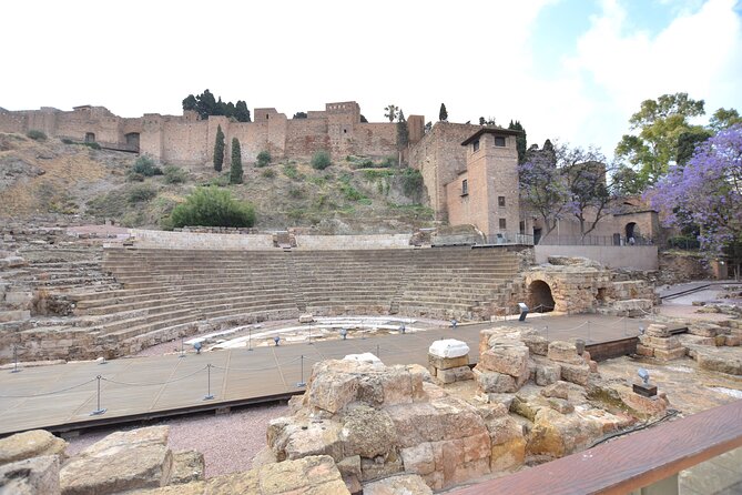 Malaga Private Walking Tour - Pricing and Cancellation