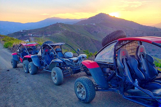 Malaga Shore Excursion: Panoramic Buggy Tour - Driver Requirements
