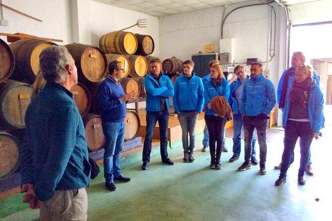 Malaga Shore Excursion: Panoramic Buggy Tour With Wine Tasting in a Historical Cellar - Tour Options Overview