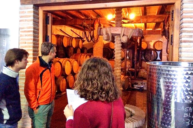 Malaga Shore Excursion: Panoramic Buggy Tour With Wine Tasting in a Historical Cellar - Cancellation Policy and Restrictions