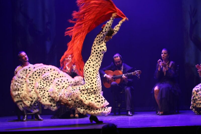 Malaga: Teatro Flamenco Malaga Live Flamenco Show - Key Points