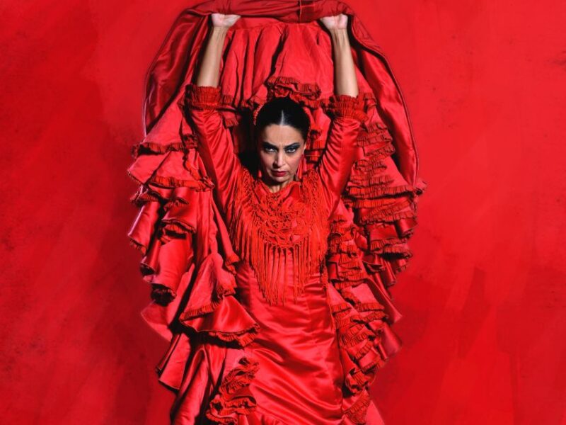 Malaga: Teatro Flamenco Malaga Live Flamenco Show - Ticket Information and Pricing