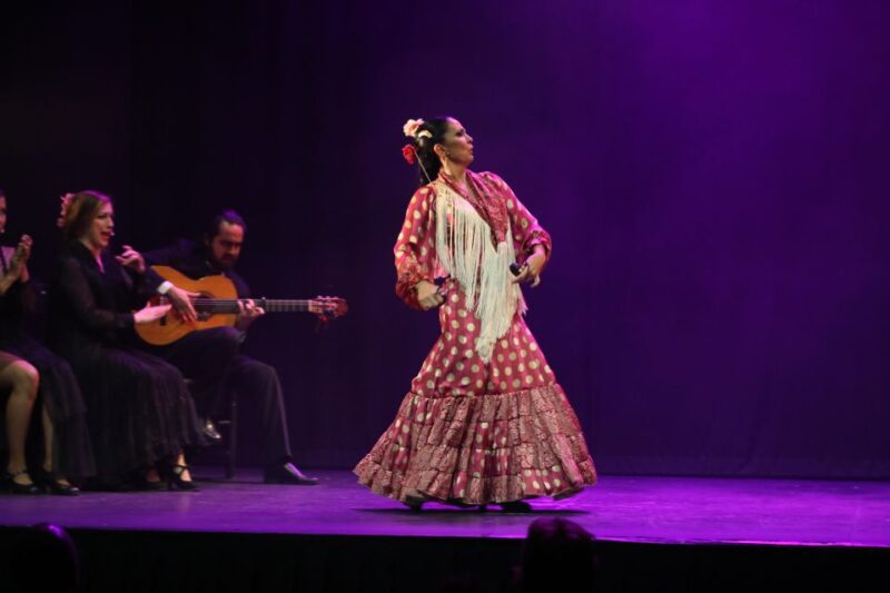 Malaga: Teatro Flamenco Malaga Live Flamenco Show - Accessibility and Amenities