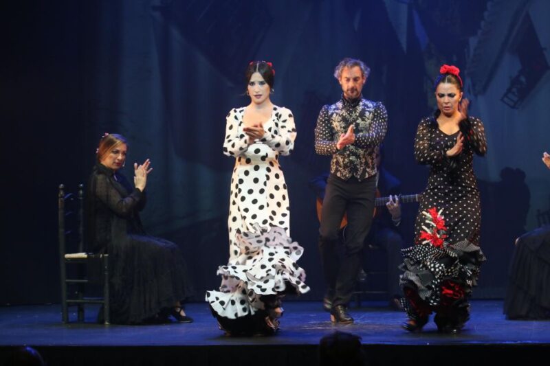 Malaga: Teatro Flamenco Malaga Live Flamenco Show - Passionate Flamenco Performances