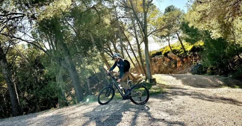 Málaga: the Chorro E-Bike Guided Tour 2h (13KM) - Riding Through the Gaitanes Gorge Natural Park