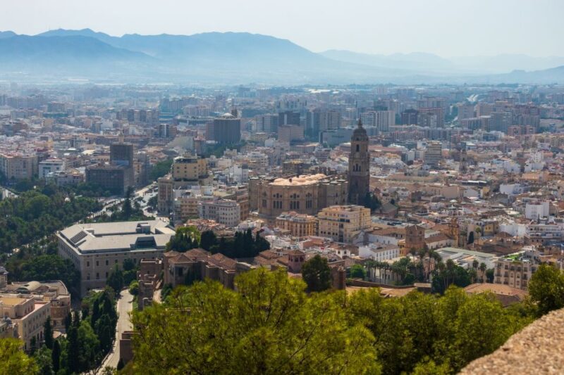 Malaga: Thyssen Museum 2-Hour Private Guided Visit - Influence on Modern Movements