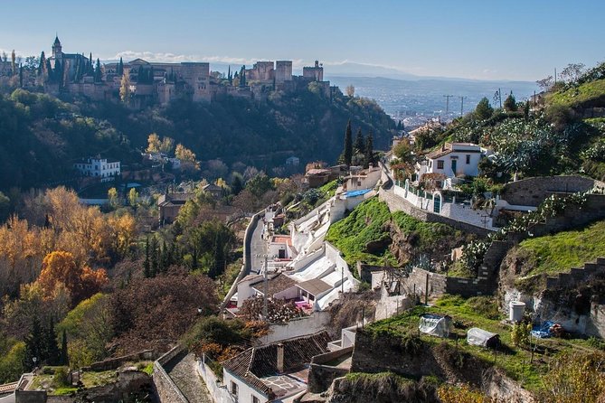 Malaga to Granada Trip With Alhambra Tickets Included - Customer Reviews