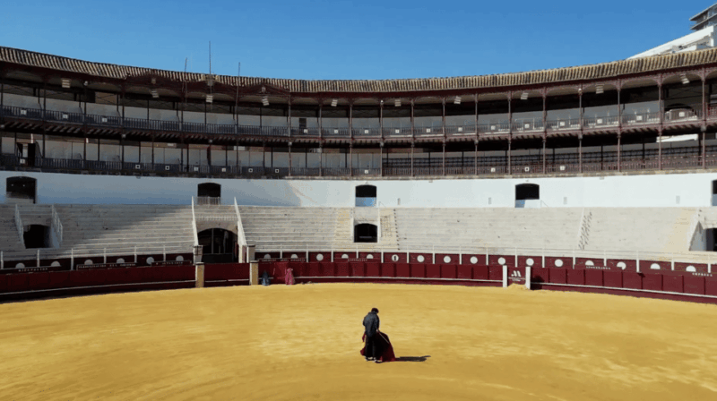 Malaga: Tour of Malagueta Bullring & Immersive Exhibition - Key Points