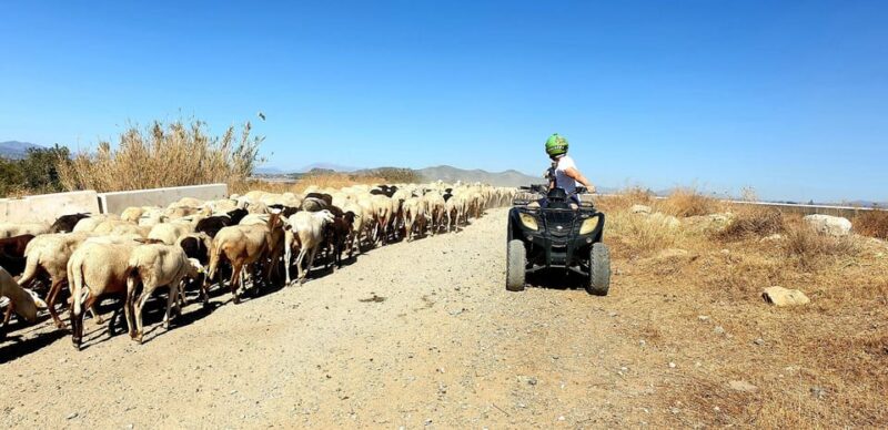 Málaga: Tour Off-Road 1-Hour Solo All-Terrain Quad Adventure - Requirements and Restrictions