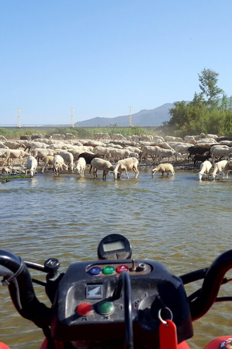 Málaga: Tour Off-Road 1-Hour Solo All-Terrain Quad Adventure - Refreshments and Sharing Experiences