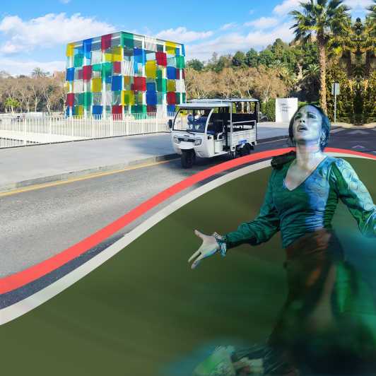 Málaga: TukTuk Tour and Flamenco Show - Inclusions