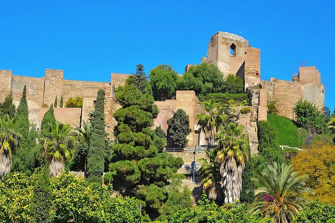 Málaga's Historic Heart: A Cultural Walking Tour - Highlights of the Walking Tour