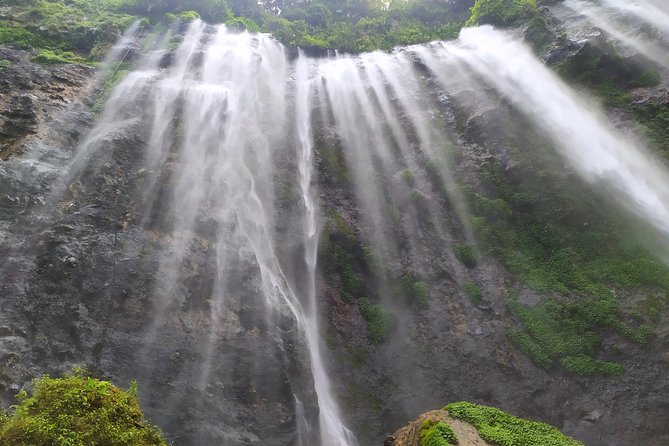 Malang Daily Tours - Pickup Information