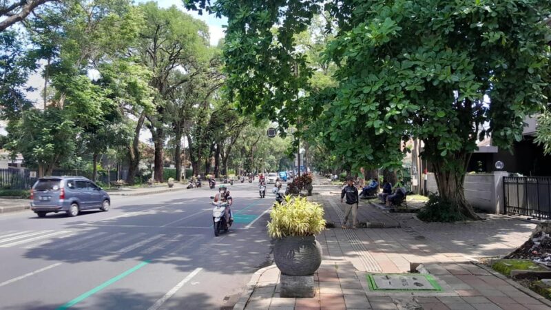 Malang: European Style Neighborhoods Walking Tour - Tour Experience