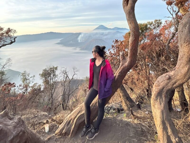 Malang: Mount Bromo & Madakaripura Waterfall Experiences - Bromo Tengger Semeru National Park