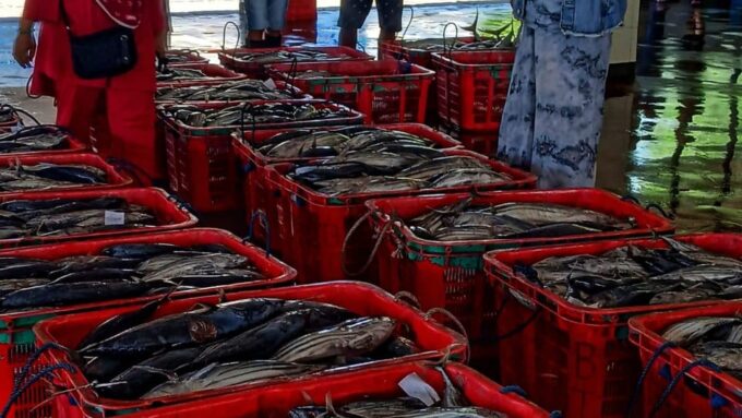 Malang: South Beaches Tour With Private Transfer - Exploring Local Fishing Culture