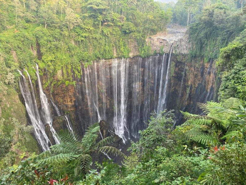 Malang/Surabaya: 3 Day Tumpak Sewu-Mt Bromo & Mt Ijen - Tour Inclusions