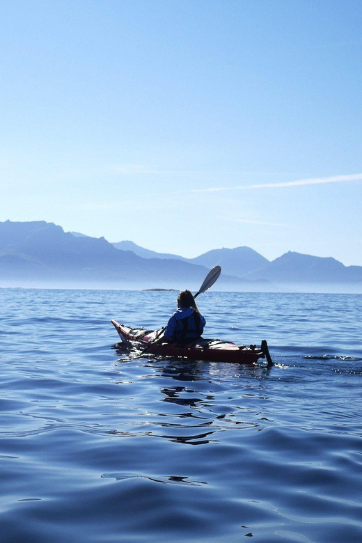 Malangen: Fjord Kayaking With Lunch - Key Points