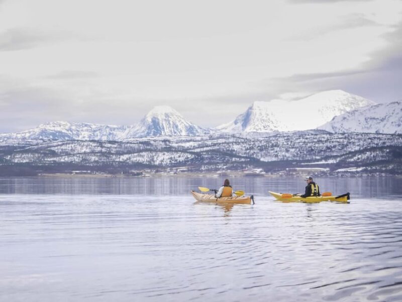 Malangen: Fjord Kayaking With Lunch - Experience Highlights