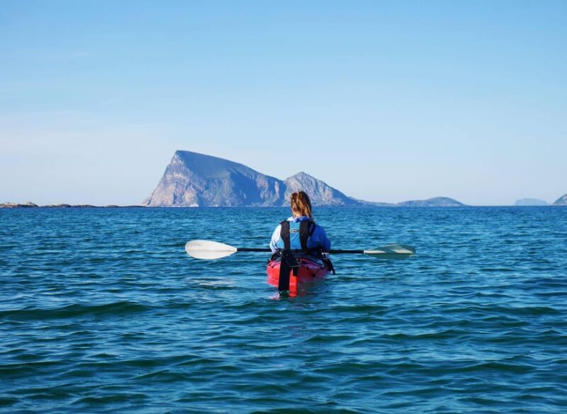 Malangen: Fjord Kayaking With Lunch - Included Amenities