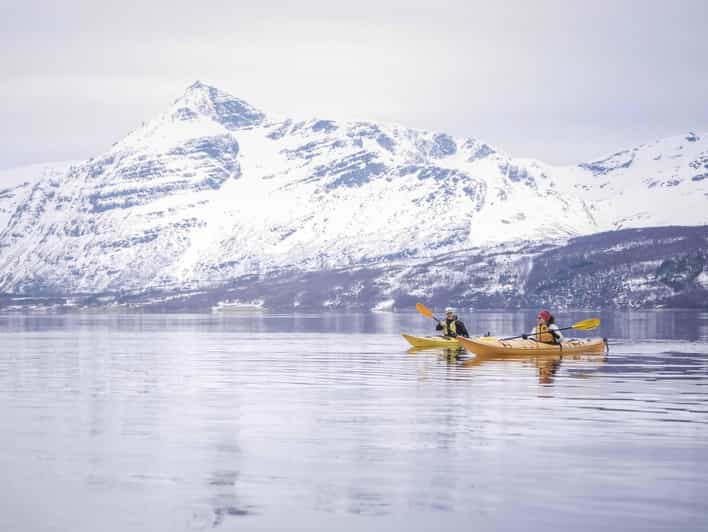 Malangen: Fjord Kayaking With Lunch - Preparation and Important Information