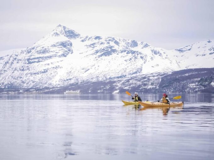 Malangen: Fjord Kayaking With Lunch - Transportation and Dietary Considerations