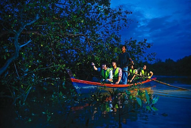 Malaysia Countryside, Batu Caves, Firefly & The River Of Life Tour - Key Points