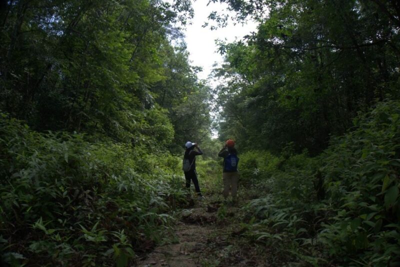 Malaysia: Gunung Panti Forest Reserve Guided Nature Tour - Itinerary Details