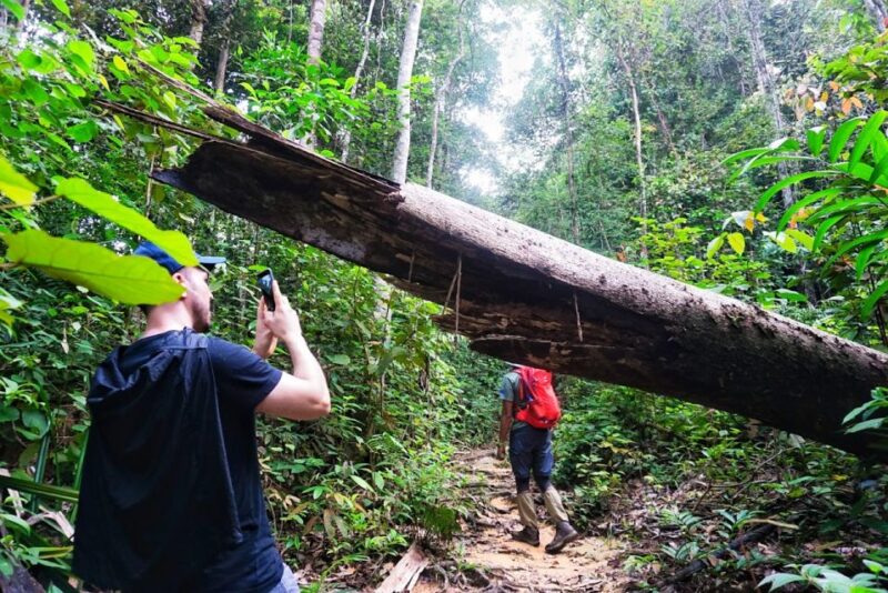 Malaysia: Gunung Panti Forest Reserve Guided Nature Tour - Preparation and Restrictions