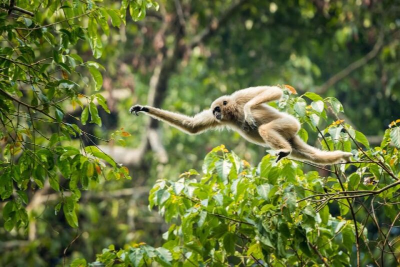 Malaysia: Gunung Panti Forest Reserve Guided Nature Tour - Customer Feedback