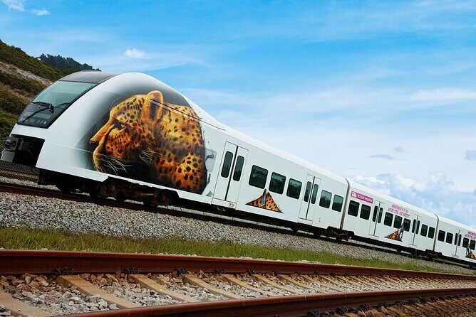 Malaysia: KLIA Ekspres Airport Train Ticket - Authentic Insights from Travelers
