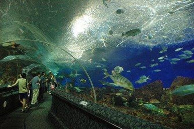 Malaysia: Underwater World Langkawi Entry Ticket - Key Points