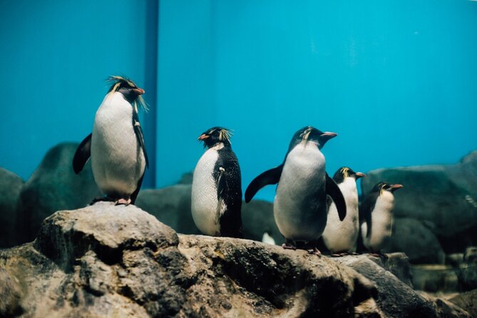 Malaysia: Underwater World Langkawi Entry Ticket - Customer Reviews