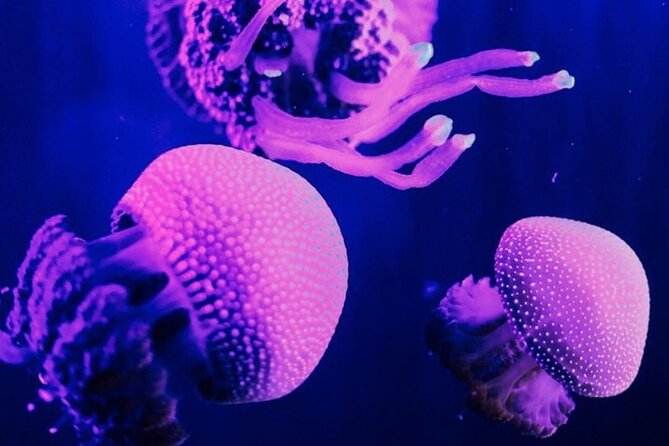 Malaysia: Underwater World Langkawi Entry Ticket - Additional Expenses
