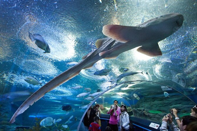 Malaysia: Underwater World Langkawi Entry Ticket - Opening Hours