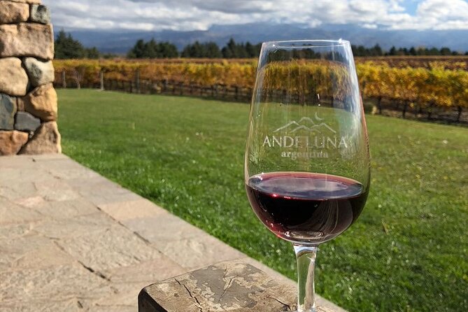 Malbec Madness Tour - Uncovering Malbecs Rich History